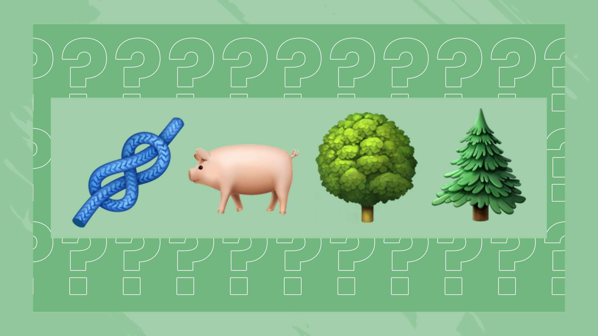 我们可以更 我们可以更